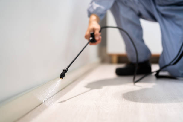 Licensed Rodent Control service in Linn County County, OR - Nex Pest Control