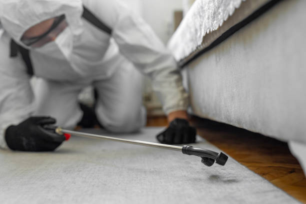 Professional Rodent Control technician working in Linn County County, OR